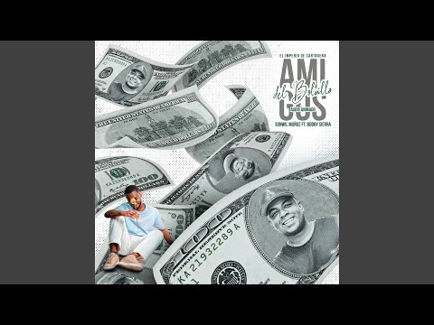 Amigos Del Bolsillo (Audio Animado)