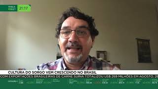 Miniatura do vídeo