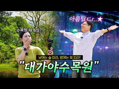 가을 여행은 고령으로! 가을 고령 필수 여행 코스 (대가야수목원 야간 해설 &amp; 어북실 코스모스)