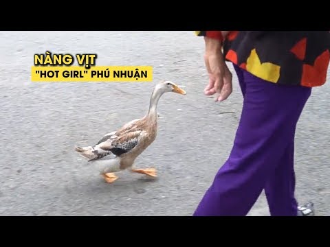 , title : 'Con vịt nổi tiếng nhất Sài Gòn: siêu thông minh, hiểu được cả tiếng người'