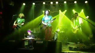 Pigeons Playing Ping Pong - &quot;F.U.&quot; - NPR Tiny Desk Contest 2016