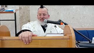 הרב יצחק לוי | רב העיר נשר | הלכה יומית י' אייר | בחירת שם לתינוק (הרב יצחק לוי) - התמונה מוצגת ישירות מתוך אתר האינטרנט יוטיוב. זכויות היוצרים בתמונה שייכות ליוצרה. קישור קרדיט למקור התוכן נמצא בתוך דף הסרטון הרב יצחק לוי | רב העיר נשר | הלכה יומית י' אייר | בחירת שם לתינוק (הרב יצחק לוי) - התמונה מוצגת ישירות מתוך אתר האינטרנט יוטיוב. זכויות היוצרים בתמונה שייכות ליוצרה. קישור קרדיט למקור התוכן נמצא בתוך דף הסרטון