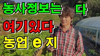 농업인 맞춤 정보 농업e지 / 경영체체등록정보 제공 / 농식품사업 정보 제공 /나의 농지정보 및 위치정보까지…