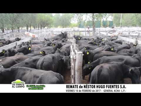 DE FRENTE AL CAMPO junto a NÉSTOR HUGO FUENTES S.A.-FEBRERO 2017-
