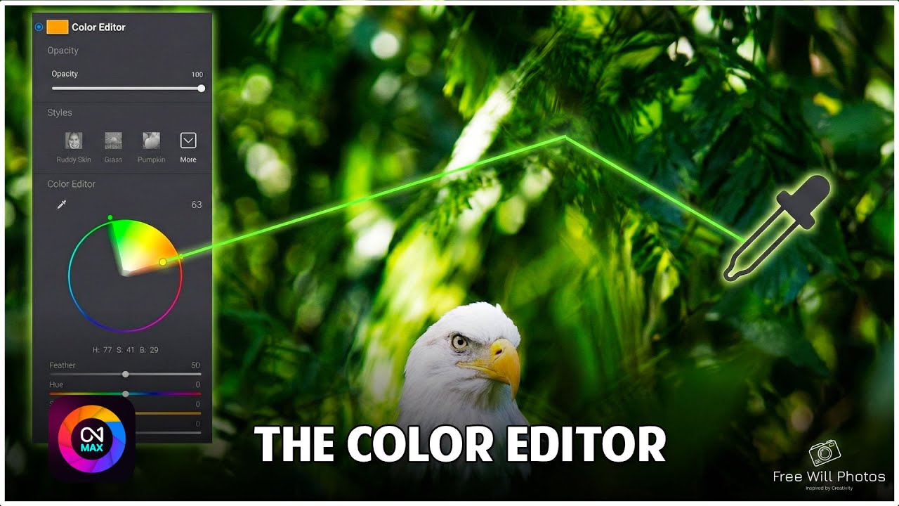 The Secret to Precise Color Changes in ON1 Photo RAW 2026 (Color Editor Guide!)