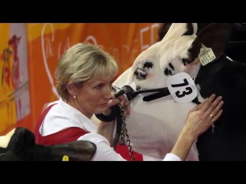 Rinderzucht Tirol Ladies Night