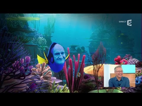 The debrief - C à vous - 29/08/2016