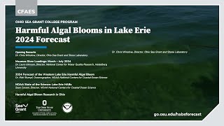 Forecast for Harmful Algal Blooms in Lake Erie 2024