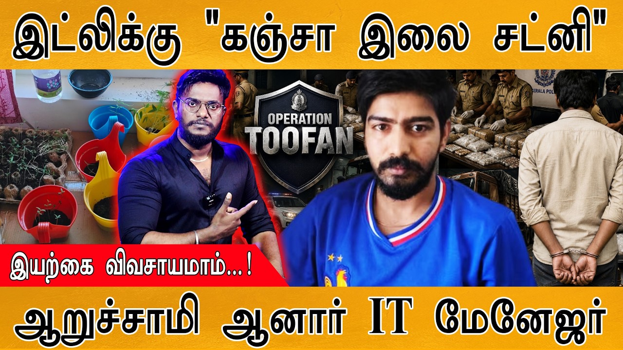 இட்லிக்கு "கஞ்சா இலை சட்னி" | இயற்கை விவசாயமாம்...! | ஆறு?
