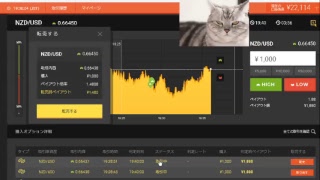 【FX】1万円から始める為替取引【BO】48