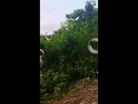 IU THE VISITOR Audio Mp3