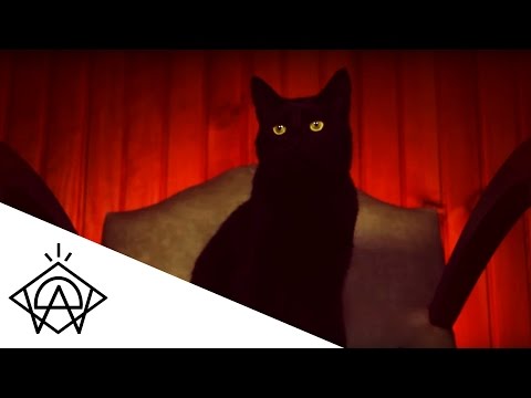 DACARA Y AENEAS - EL GATO [PROD. SOULOCREMA] #MAIMÓNIDES