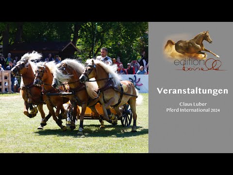 Haflinger-Luber - Pferd International 2024