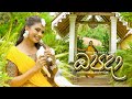 Opada (ඔපදා) Music Video | Official Dance Cover  by Damithri Subasinghe