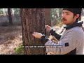 Wise Owl Outfitters Hammock Camping Double & Single with Tree Straps