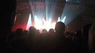 Puggy - Ready Or Not