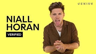 Niall Horan "Nice To Meet Ya" Official Lyrics & Meaning | Verified Niall Horan "Nice To Meet Ya" Official Lyrics & Meaning | Verified