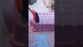 limpeza satisfatória 🐶🐶 #donadecasa #fy #asmrsatisfying #cleaning #limpezasatisfatoria #cleantok