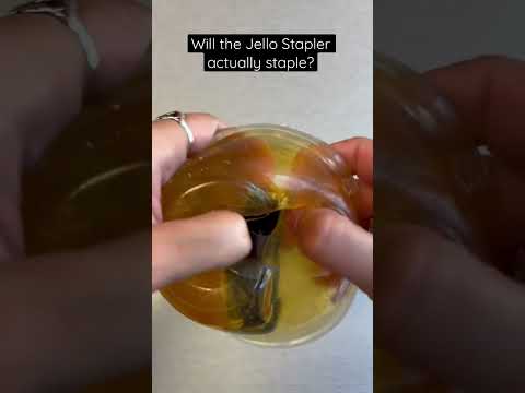 Does the Jello Stapler staple?! #shorts #short #theoffice #office #prank #candy #candyfunhouse