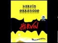 Pache Kodi Hervin