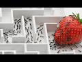 World S Smartest Ants Vs 5 Puzzles