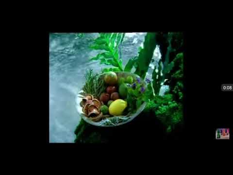 Sunsilk Anti-Dandruff พ.ศ.2543 Thailand 15 Sec Versions 1