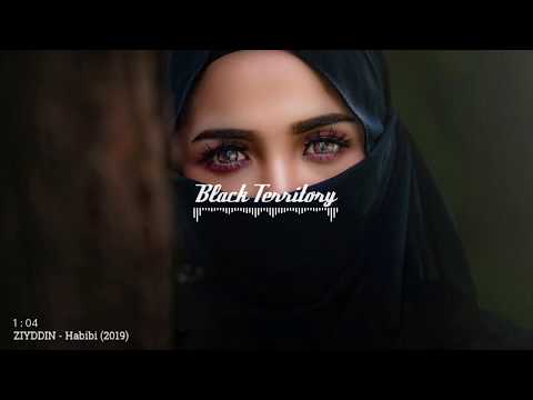 download lagu mp3 mp4 Ziyddin Habibi Mp3, download lagu Ziyddin Habibi Mp3 gratis, unduh video klip Ziyddin Habibi Mp3