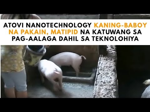 Karot at mga kamatis para sa pagbaba ng timbang Paano sa mawala timbang sa puwit at suso ay