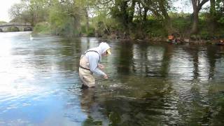 preview picture of video 'Fly Fishing on Irelands River Tar'