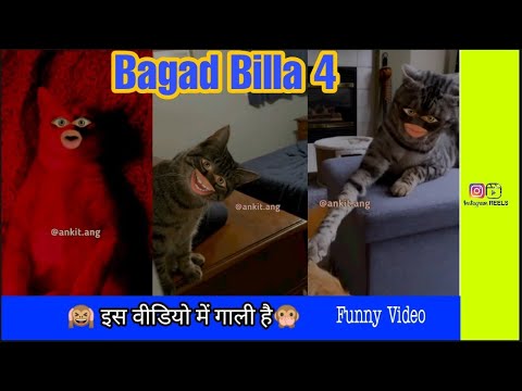 Bagad Billa Part 4/Funny Instagram Reel Video #dob #bagadbilla #trending #funny #short #tiktok
