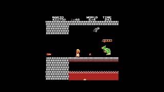 All Bowsers Defeated with Fireballs in Super Mario Bros.