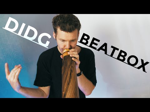 Didg & Beatbox - ZS#13 - Zalem Delarbre