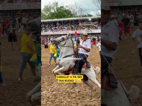 El Caballo 🐎 Se Par0 En Dos 2️⃣ Patas 🐾 Corralejas En Montelibano Cordoba 2026🎉😱#caballos #toros