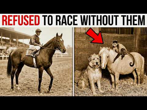 20 Things You Didn't Know about Seabiscuit