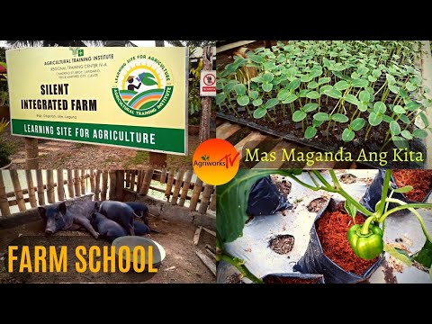 FARM SCHOOL, MAS MAGANDA PALANG PAGKAKITAAN.