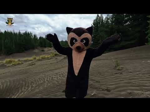 ¿Un desierto en los Andes? 🌵🇪🇨 | Desierto de Palmira, Chimborazo