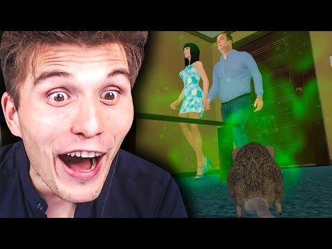 Der RATTEN Simulator