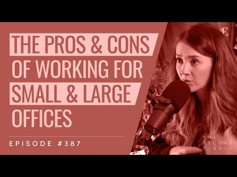 #387 - Pros and Cons of Working for Small and Large Architecture Offices