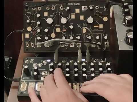 Make Noise Music Easel 0 Coast 0 Ctrl Strega Equipment Lines