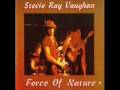 Stevie Ray Vaughan - Hideaway 10/14/81