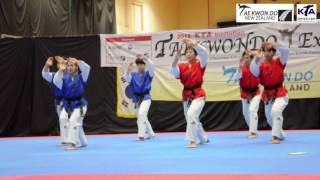 Taekwondo Demonstration Auckland by Official Korean Team 2016