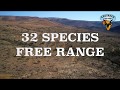 Indigenous Species In Their Free Range Environment Crusader Safaris