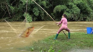 Interesting Fishing in River - Fishing During The Flood Season - Catching Big Fish in The River