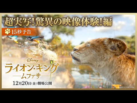 15秒予告 超実写版！驚異の映像体験！編