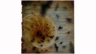 Gravity Co. - Anything Goes (HQ audio)