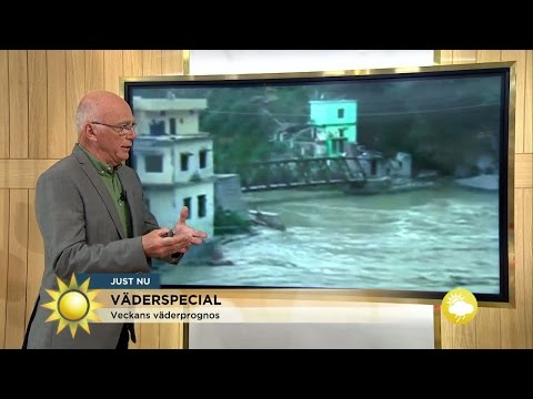 Väderspecial "Här är det brutala regnmängder nu" - Nyhetsmorgon (TV4)