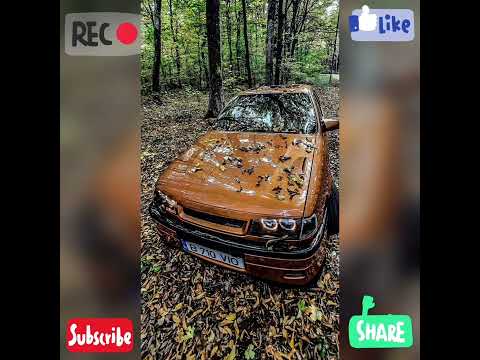 Yunal-TI LI BESHE- Feat-Sezer Sarigöz-Bir Güluşu Vardi 2023