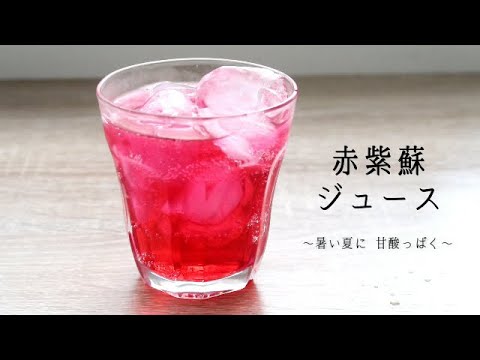 自分でカラントジュースを作る:とても簡単です 植物