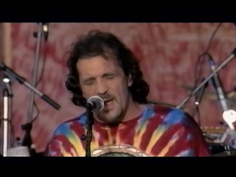 Traffic - Gimme Some Lovin' - 8/14/1994 - Woodstock 94 (Official)