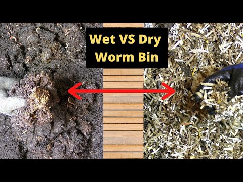 Wet or Dry Worm Bin for Composting?